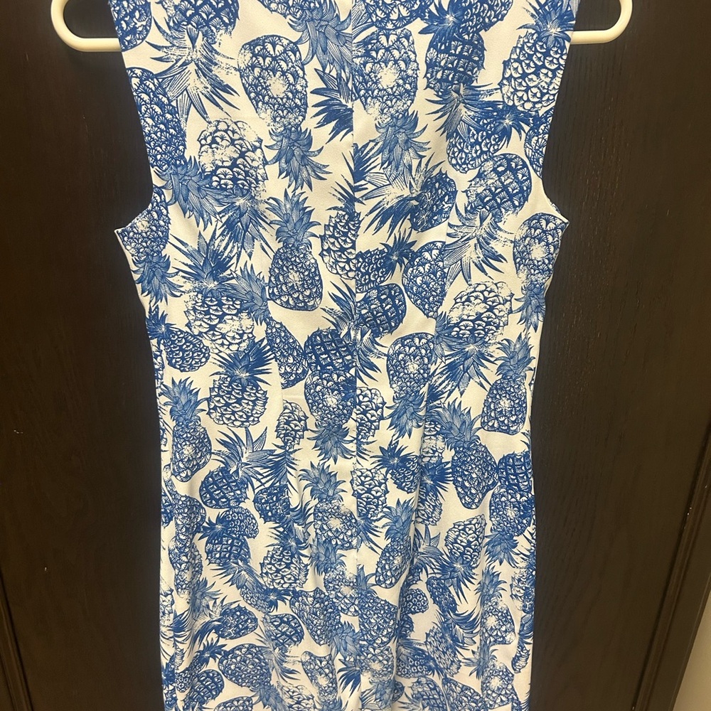 Blue and White Sleeveless pineapple Dress - Picture 5 of 7